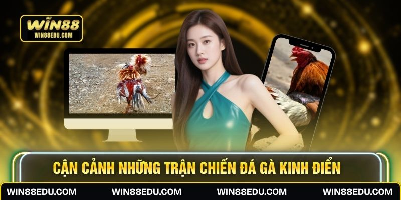 Cận cảnh những trận chiến đá gà kinh điển