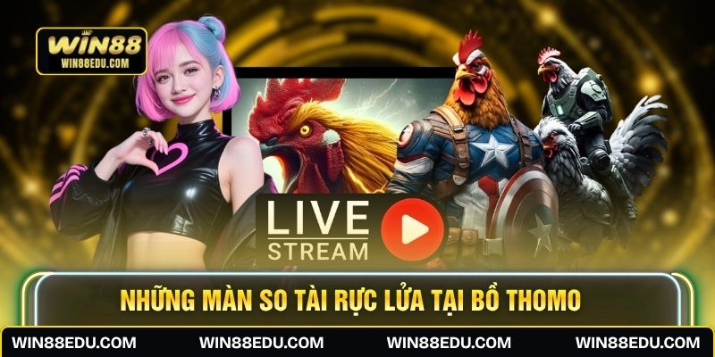 Những màn so tài rực lửa tại bồ Thomo